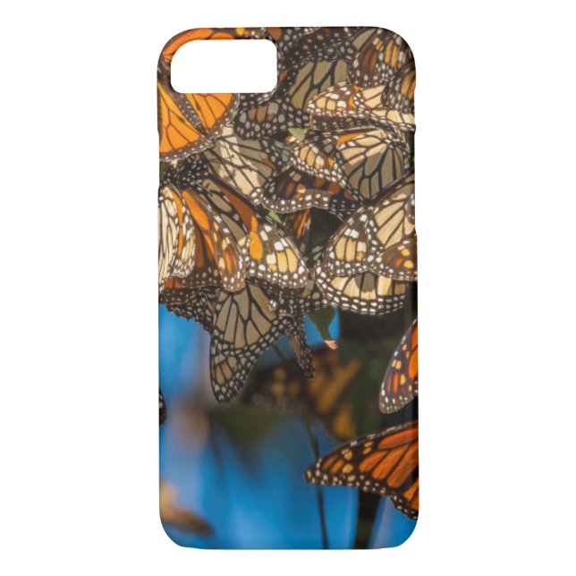 Migrating monarch butterflies cling to leaves Case-Mate iPhone case (Back)