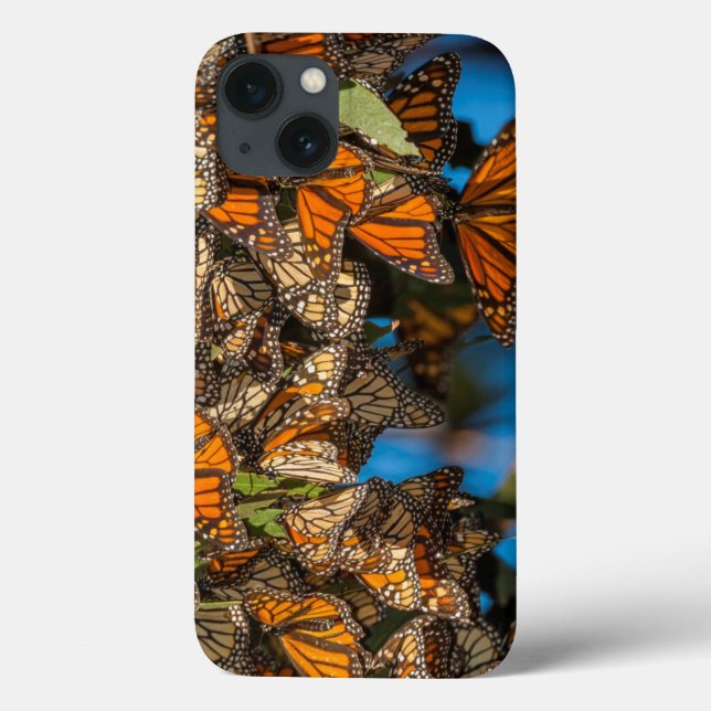 Migrating monarch butterflies cling to leaves Case-Mate iPhone case (Back)