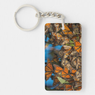 Migrating monarch butterflies cling to leaves key ring