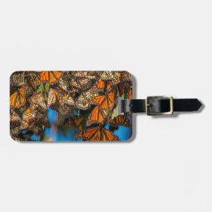Migrating monarch butterflies cling to leaves luggage tag