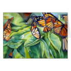 Migration of the Monarch Morning Light