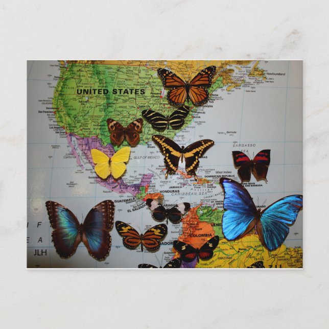 Migrational Locales, JLH Postcard (Front)