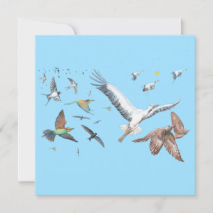 Migratory birds tracing their flights Illustration Card