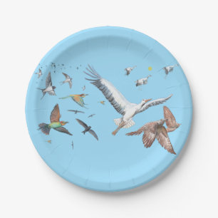 Migratory birds tracing their flights Illustration Paper Plate