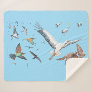 Migratory birds tracing their flights Illustration Sherpa Blanket