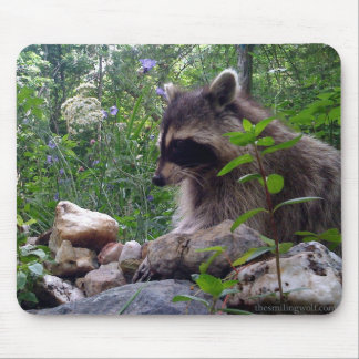 Mika the Racoon Mouse Mat