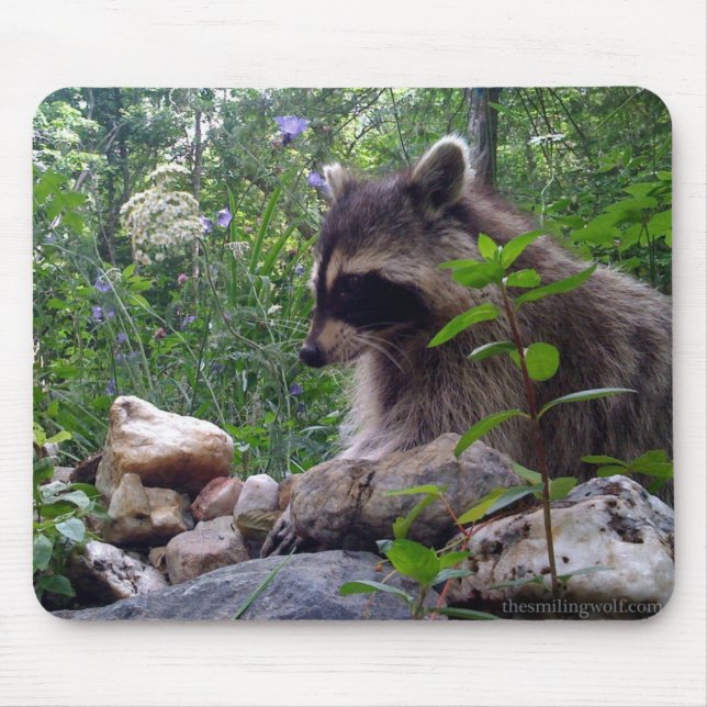 Mika the Racoon Mouse Mat (Front)