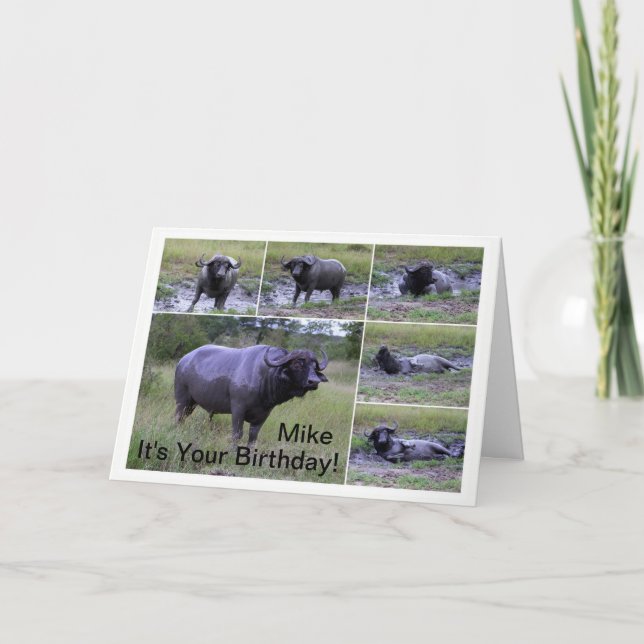 Mike Happy Birthday Cape Buffalo Mud Bath Card (Front)
