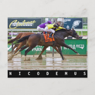 Mike Luzzi -Nicodemus Postcard
