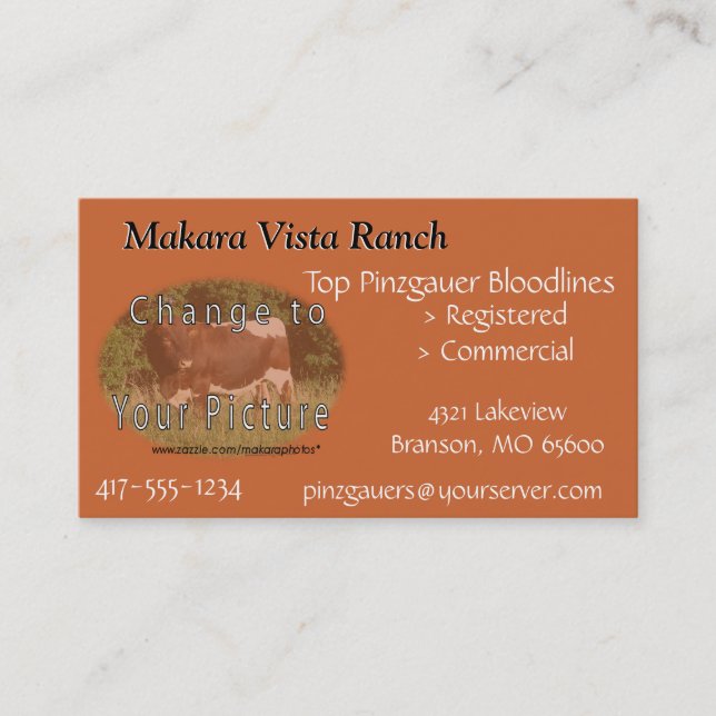 MikeCard 2- customise both sides Business Card (Front)