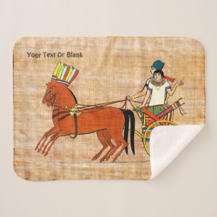Miketz - Joseph's Chariot Sherpa Blanket