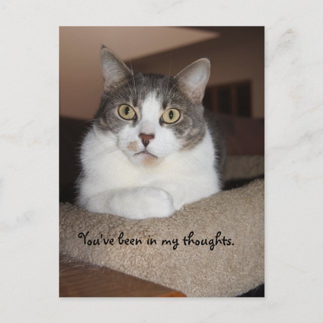 Mikey's Look Postcard (Front)