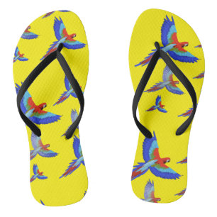 Mikitiez parrot hawaii summersunset beach spring  flip flops