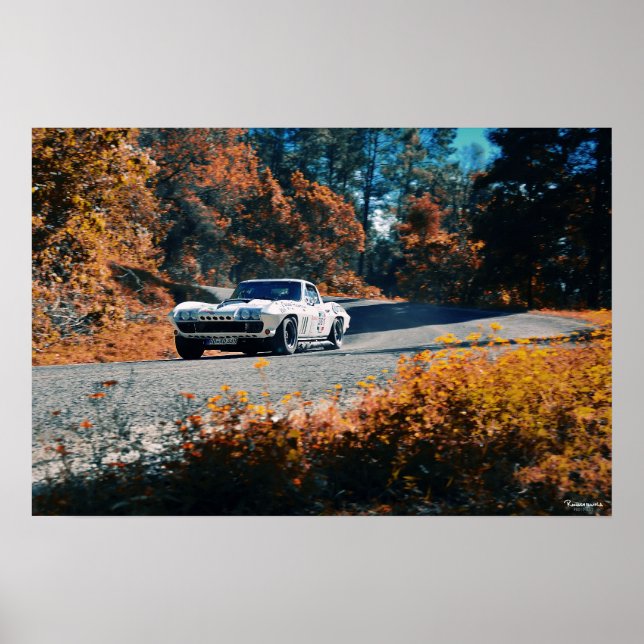 Mil cumbres dowhill (La Mexican Race) Poster (Front)