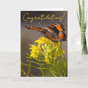 Milbert's Tortoiseshell Butterfly Close-Up Card