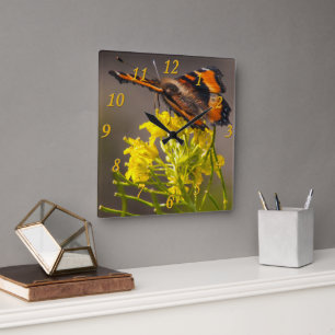 Milbert's Tortoiseshell Butterfly Close Up Square Wall Clock