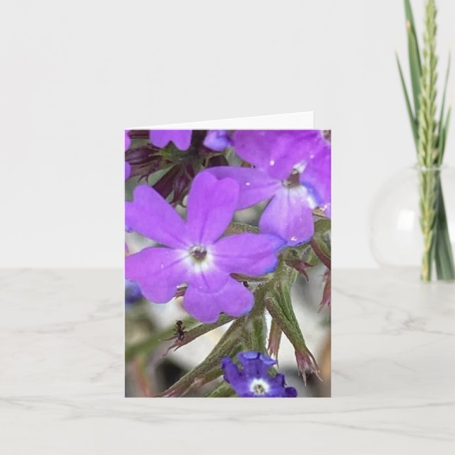 Mildred The Ant 🐜 Looks Up Thank You Card (Front)