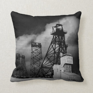 Mile High Mile Deep Cotton Throw Pillow