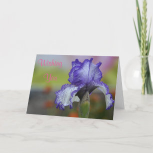 Miles Of Smiles Birthday Card