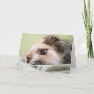 Miles Pondering Card