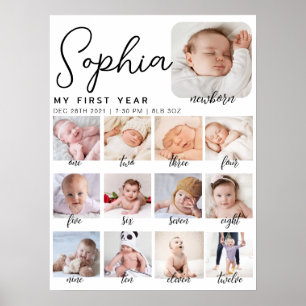 milestone birthday sign, printable baby's first poster
