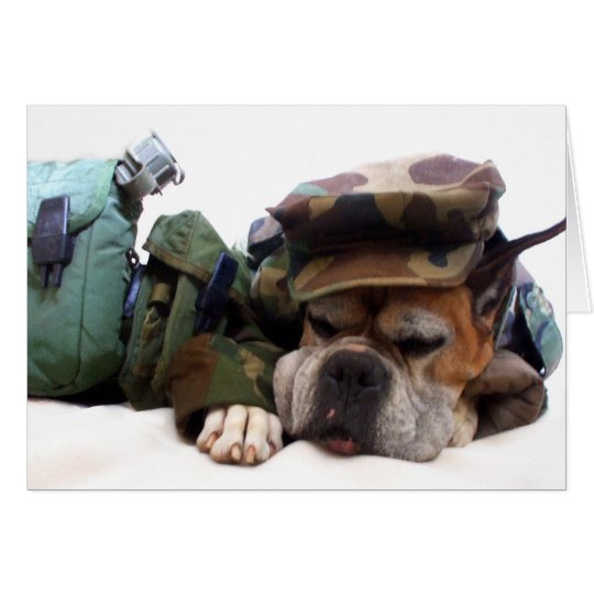 Military boxer greeting card