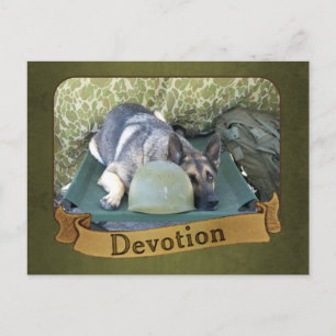 Military German Shepherd Postcard