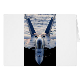 Military jet