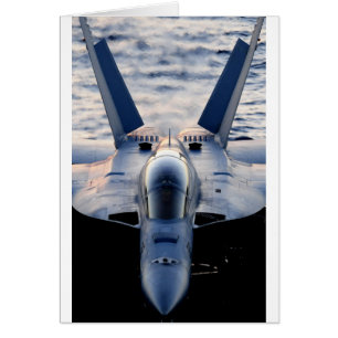 Military jet