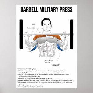 Military Press - Exercise - Muscle Anatomy Chart