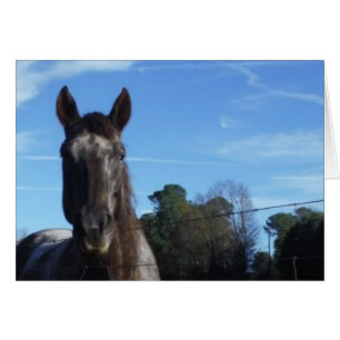 Milk Chocolate Brown Horse in Blue