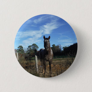 Milk Chocolate Brown Horse in Blue 6 Cm Round Badge