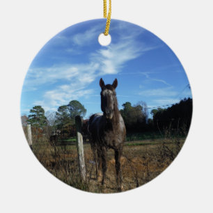 Milk Chocolate Brown Horse in Blue Ceramic Tree Decoration