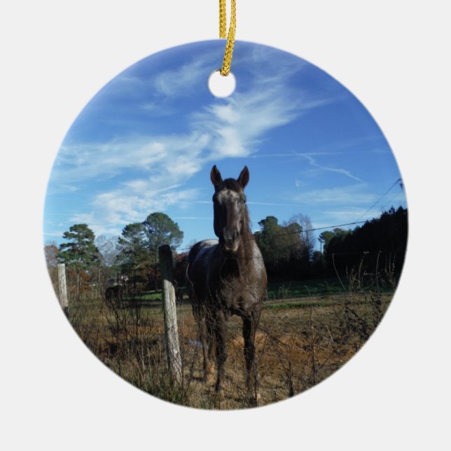 Milk Chocolate Brown Horse in Blue Ceramic Tree Decoration (Front)