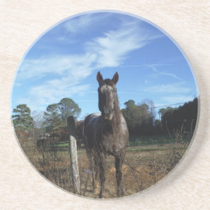 Milk Chocolate Brown Horse in Blue Coaster