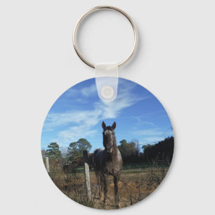 Milk Chocolate Brown Horse in Blue Key Ring