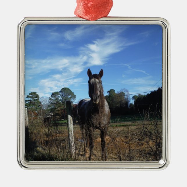 Milk Chocolate Brown Horse in Blue Metal Tree Decoration (Front)