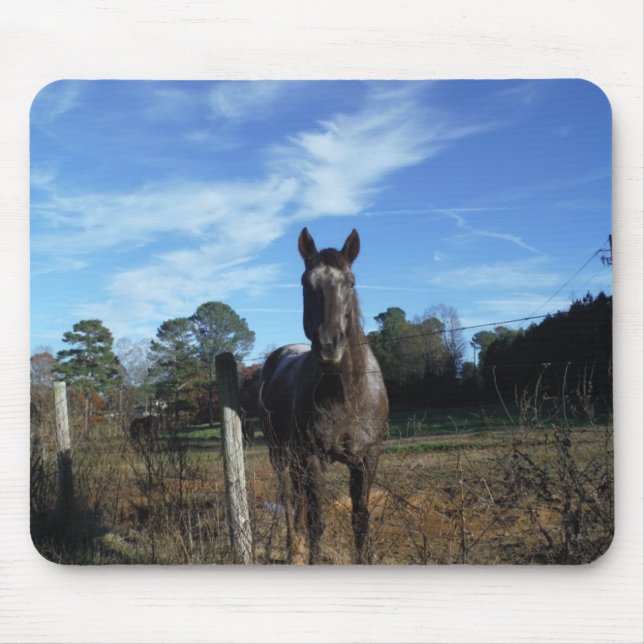 Milk Chocolate Brown Horse in Blue Mouse Mat (Front)