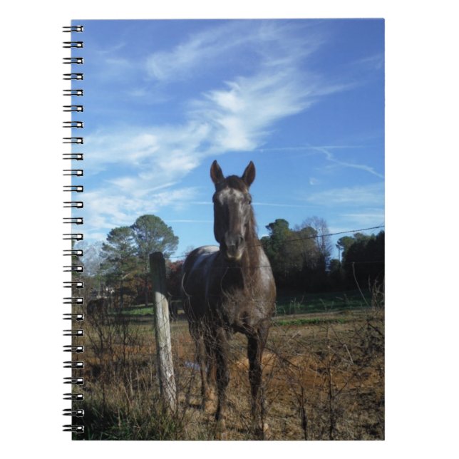 Milk Chocolate Brown Horse in Blue Notebook (Front)