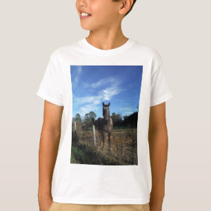 Milk Chocolate Brown Horse in Blue T-Shirt