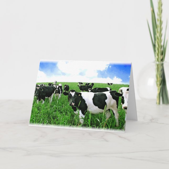 Milk Cows in Green Feild Card (Front)