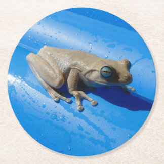 Milk Frog on a Pool Float Pulp Board Coaster
