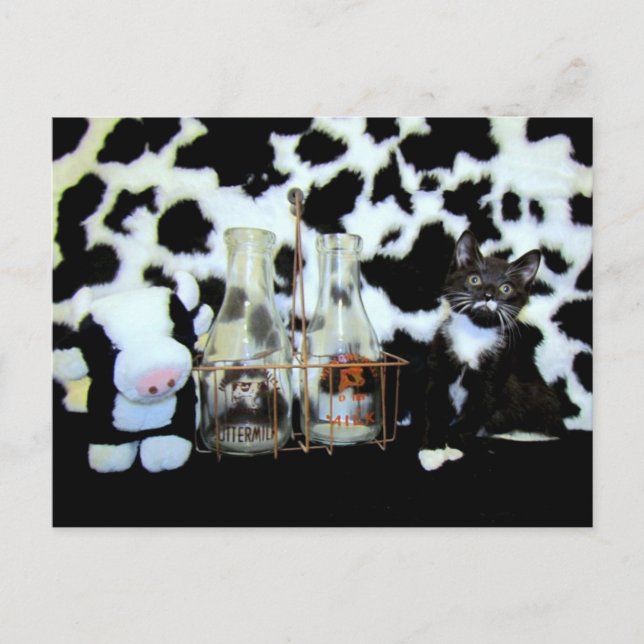 Milk, Please ... Starring Davina Postcard (Front)