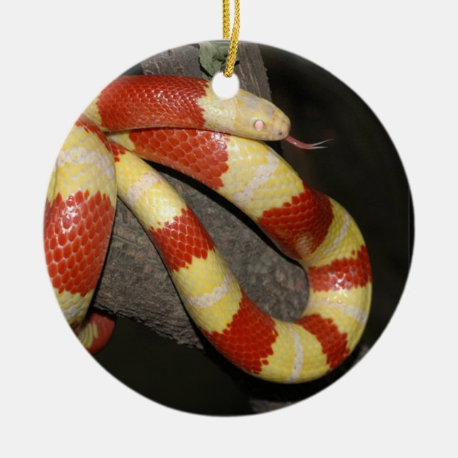 Milk snake ceramic tree decoration (Front)