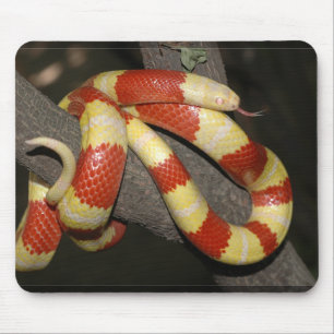 Milk snake mouse mat