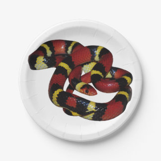 Milk snake paper plate