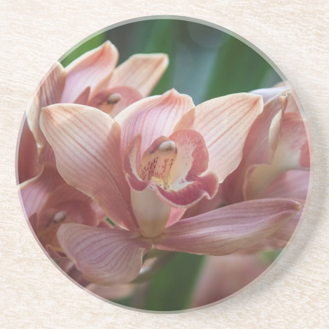 Milk Tea Orchid Coaster (Front)