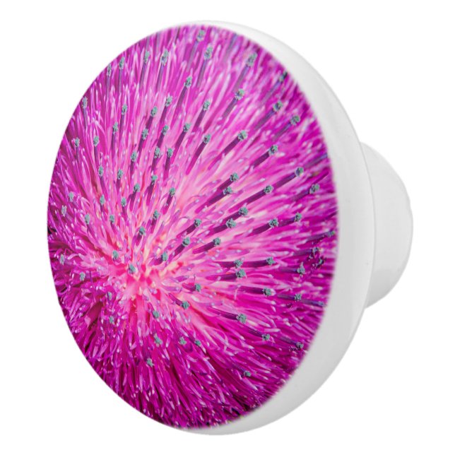 Milk thistle closeup ceramic knob (Right)