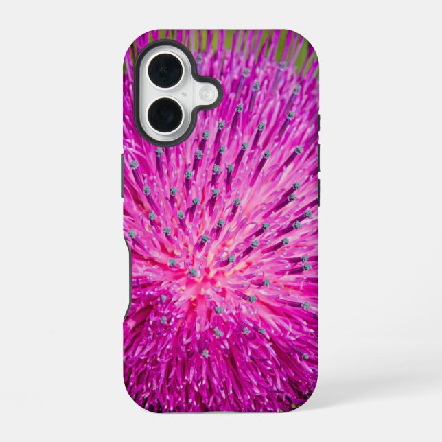 Milk thistle closeup iPhone 16 case (Back)