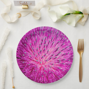 Milk thistle closeup paper plate